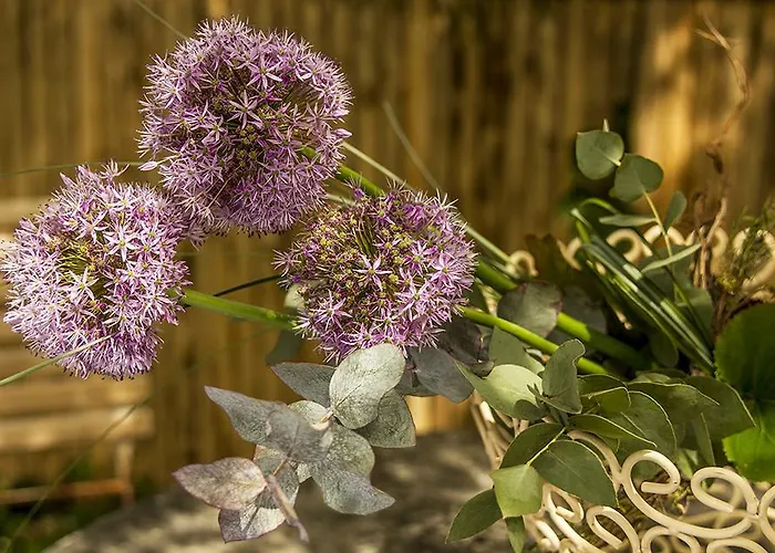Alpenhof Garnihotel & Garmisch-Partenkirchen