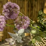 Alpenhof Garnihotel & Garmisch-Partenkirchen